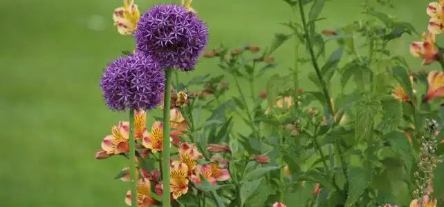 Combien coute un jardinier paysagiste ?